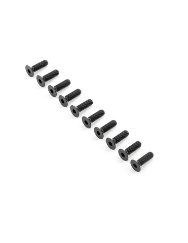 Flat Head Screws M6x20mm (10)