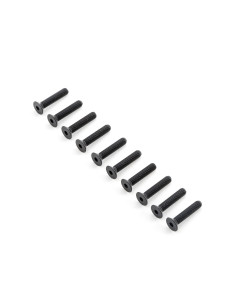 Flat Head Screws M5x25mm (10)