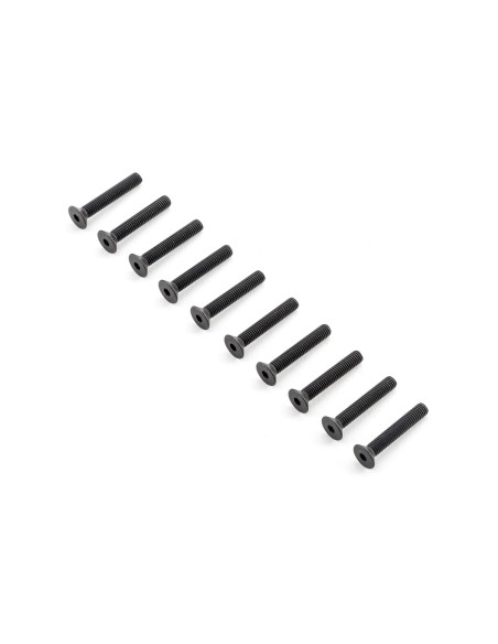 Flat Head Screws M5x30mm (10)