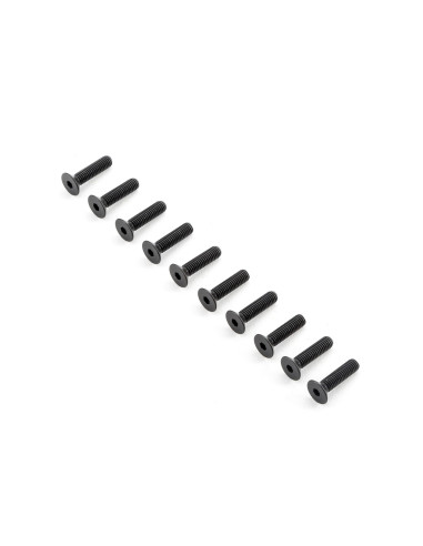 Flat Head Screws M5x20mm (10)