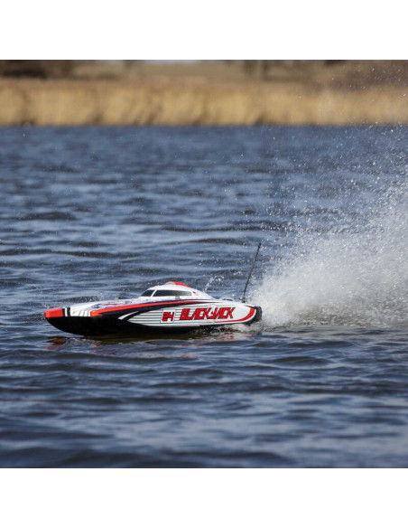 Blackjack 24" V2 Catamaran Brushless: RTR  Vegas Offshore