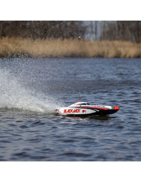 Blackjack 24" V2 Catamaran Brushless: RTR  Vegas Offshore