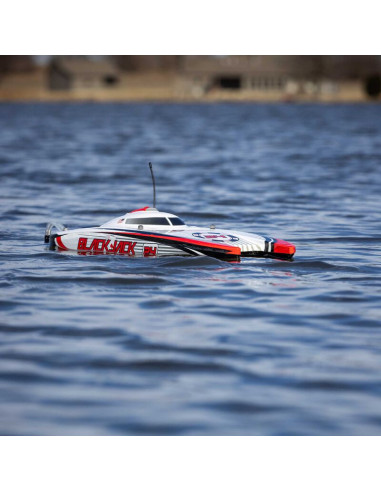 Blackjack 24" V2 Catamaran Brushless: RTR...