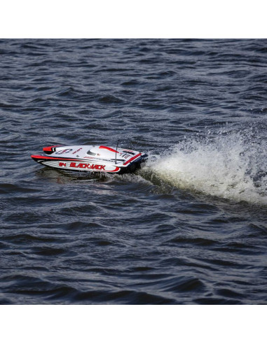 Blackjack 24" V2 Catamaran Brushless: RTR...