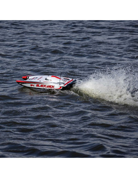 Blackjack 24" V2 Catamaran Brushless: RTR  Vegas Offshore