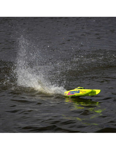 Blackjack 24" V2 Catamaran Brushless: RTR  Heat...