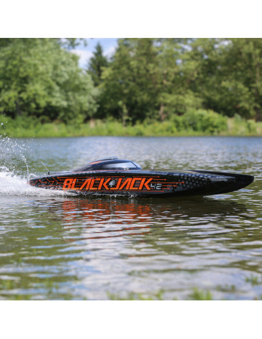 Blackjack 42" 8S Brushless Catamaran RTR:...