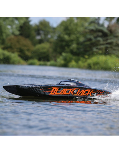 Blackjack 42" 8S Brushless Catamaran RTR:...
