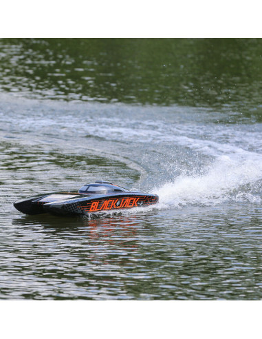 Blackjack 42" 8S Brushless Catamaran RTR:...