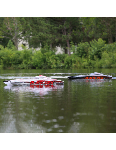 Blackjack 42" 8S Brushless Catamaran RTR:...