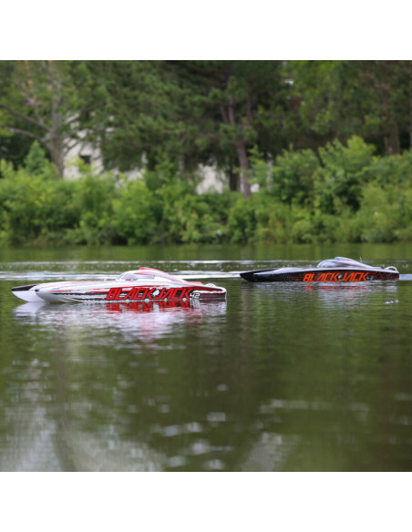 Blackjack 42" 8S Brushless Catamaran RTR: Black-Orange