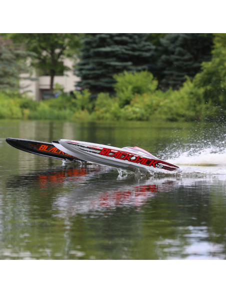 Blackjack 42" 8S Brushless Catamaran RTR: Black-Orange