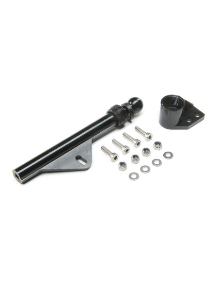 Prop Strut: Miss Geico Zelos 36