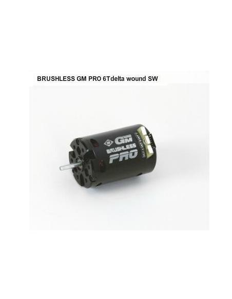 97286 Motor Brushless GM PRO 6T delta wound SW