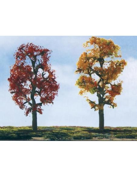 JTT ARCE SURTIDO 2p.