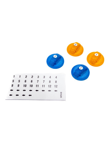 Gate Marker Set  Blue  Orange (12): Axial SCX30