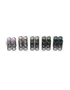 PowerStroke Shock Spring...