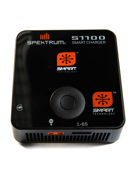 S1100 AC Smart Charger  1x100W (EU)