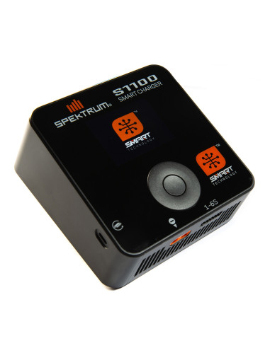 S1100 AC Smart Charger  1x100W (EU)