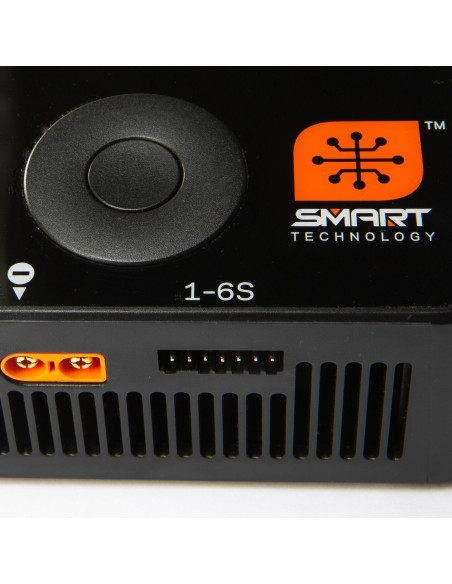S1100 AC Smart Charger  1x100W (EU)
