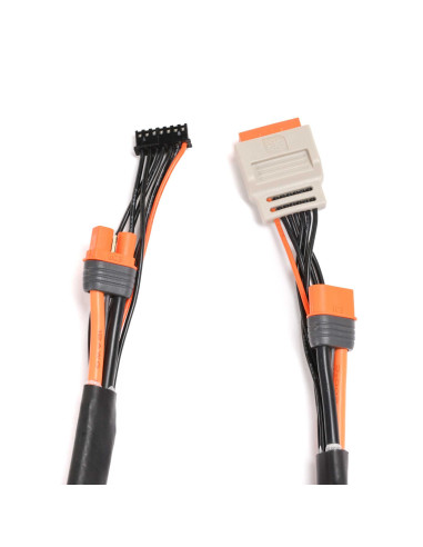Charge Lead with Balance Extension 24" IC3  2-6S