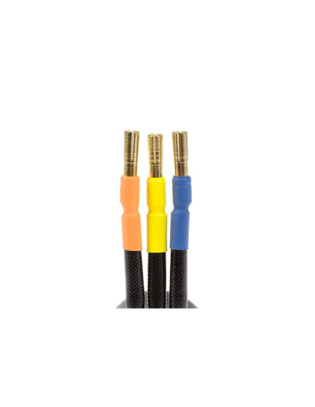 Firma 3668 2400Kv 4-Pole Brushless Motor