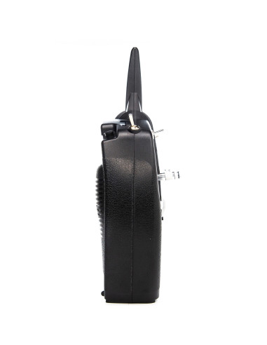DXS Transmitter with AR410 Receiver