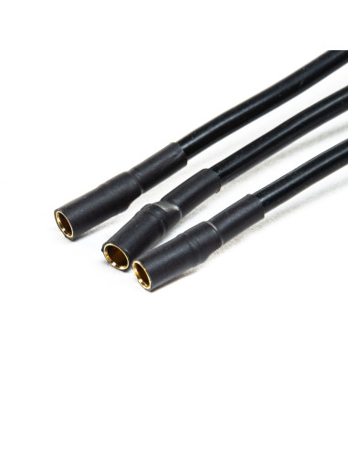 Avian 60-Amp Brushless Smart ESC  3S-6S (IC3)