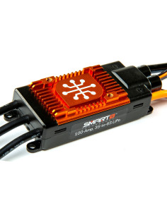 Avian 100-Amp Brushless...