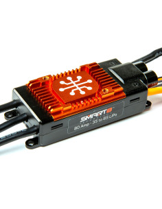 Avian 80-Amp Brushless...