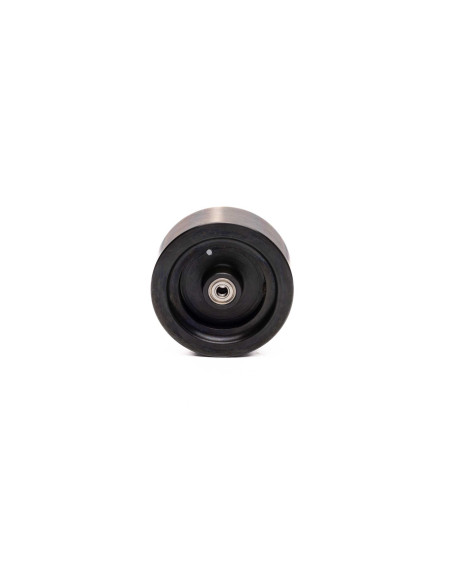 Flywheel Assembly: Promoto-MX-SM