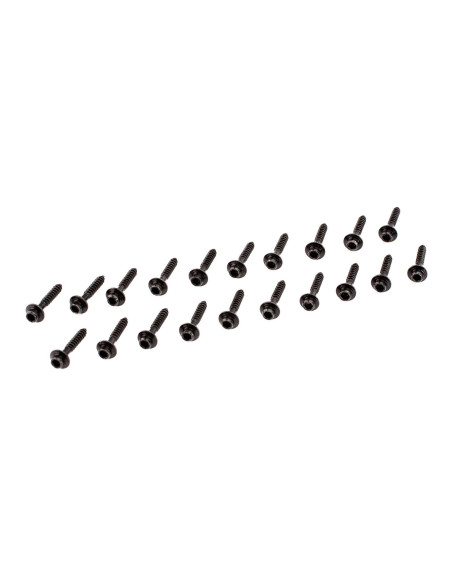 Socket Head Servo Mounting Screws (20)