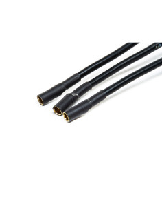 Avian 60-Amp Brushless... 2