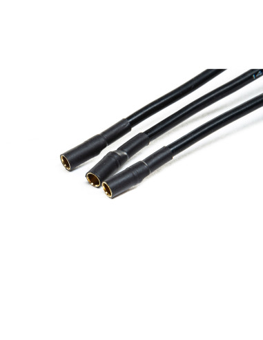 Avian 60-Amp Brushless Smart ESC  3S-6S (IC5)