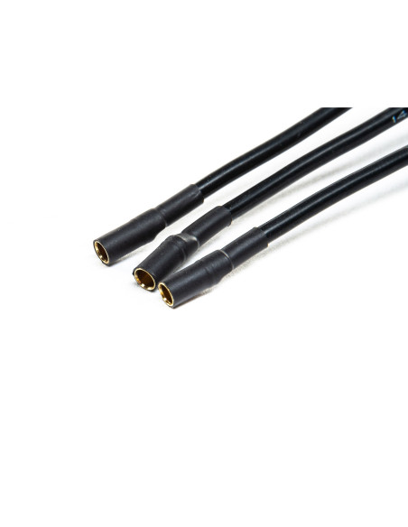Avian 60-Amp Brushless Smart ESC  3S-6S (IC5)