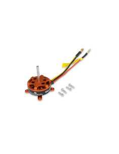 Brushless Motor:...