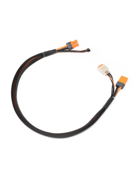 Charge Lead with Balance Extension 24" IC5  2-4S