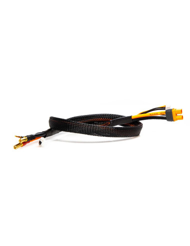 Adapter: IC3 Battery / 5mm Bullet with 2' Wires...