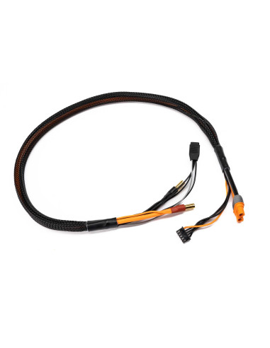 Pro Series Race 4s Charge Cable: IC3-5mm