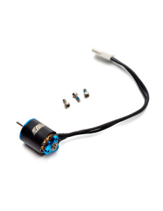 Brushless Motor...