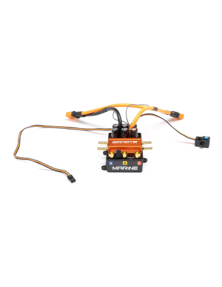 Firma 200A Brushless Smart Marine ESC  12S