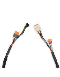 Charge Lead with Balance... 2