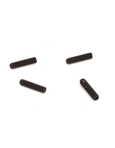 3x12mm Set Screw (4)