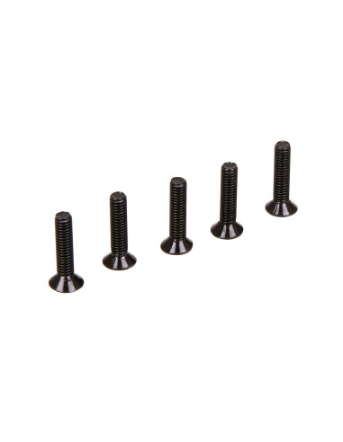 Screw  M4  Flat Head  Binder Head (5)