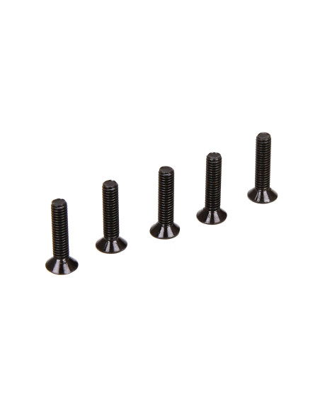Screw  M4  Flat Head  Binder Head (5)