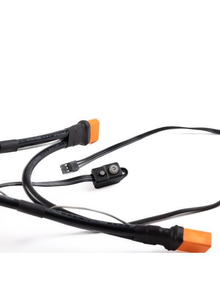 Firma 250A Brushless Smart ESC  6S-12S: Dual IC5