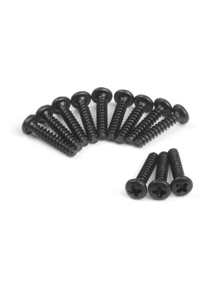 Pan Head Tapping Screws BBHO2.6*12mm (12pcs)