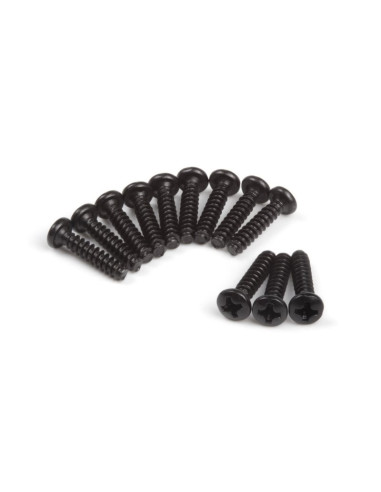 Pan Head Tapping Screws BBHO3*15mm (12pcs)