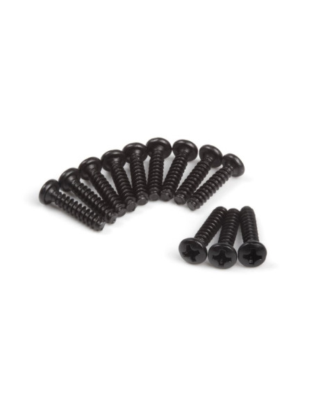 Pan Head Tapping Screws BBHO3*15mm (12pcs)