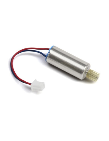 Motor w- Pinion